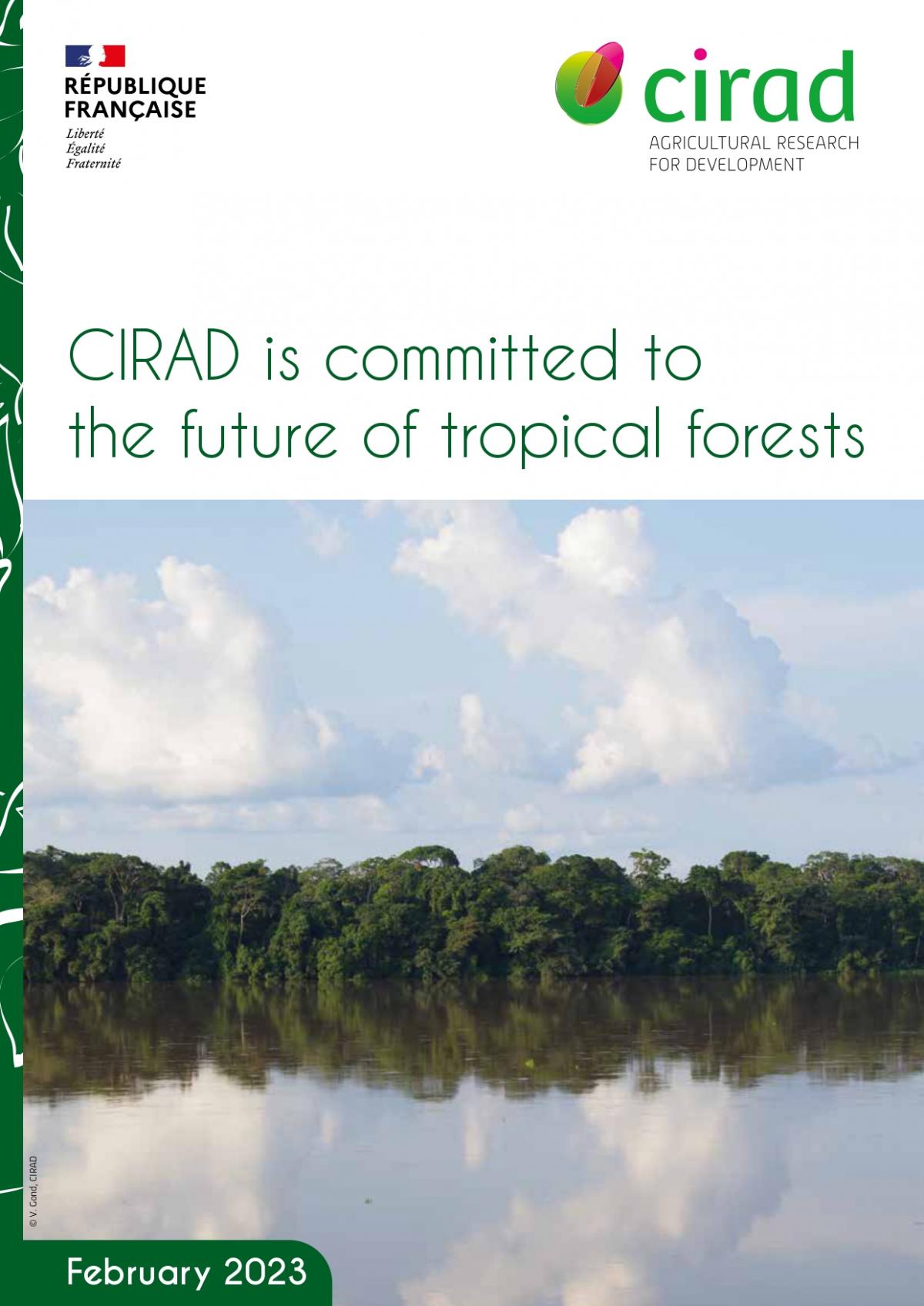 CIRAD position on the future of tropical forests